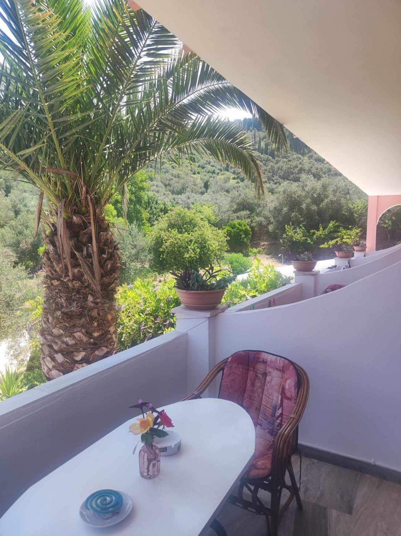 Marianna House Hotel Agios Georgios Pagon Exterior photo